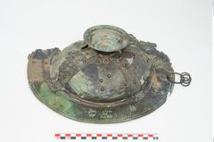 Foto von Bronzebreitrandfußschale (NHMW-PRAE-025740)